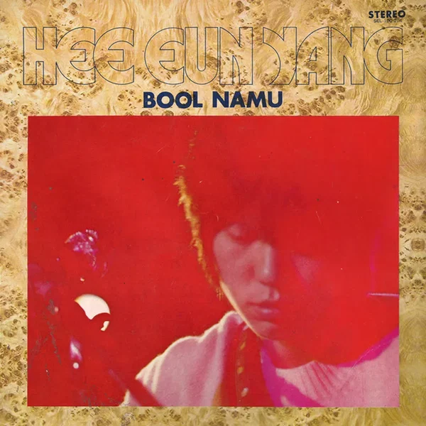 Bool Namu