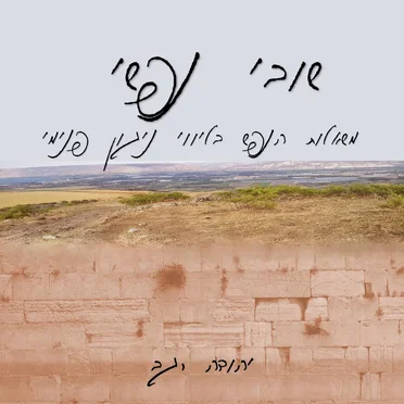 שובי נפשי by יהודה רגב - album cover