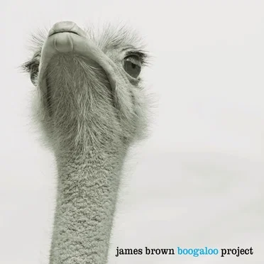 James Brown Boogaloo Project by Diego Gutiérrez - album cover