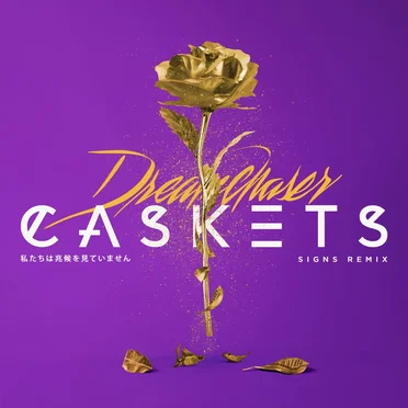 Signs (Dreamchaser remix)