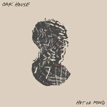 Hot or Mood by Oak House - album cover