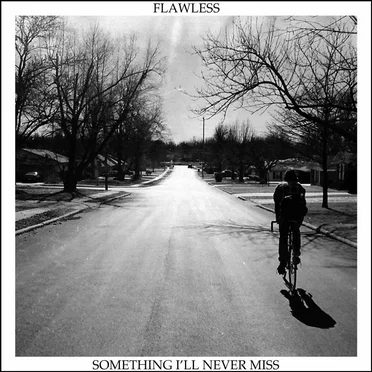 Something I'll Never Miss by Flawless - album cover
