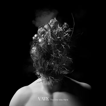 The End Was Here by Vate - album cover