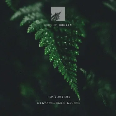 Silvery-Blue Lights by Sotvorishi - album cover