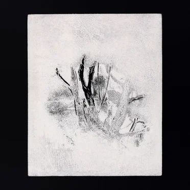 Collections 1 by Infant Island - album cover