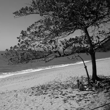 Long Time Sitting by the Sea