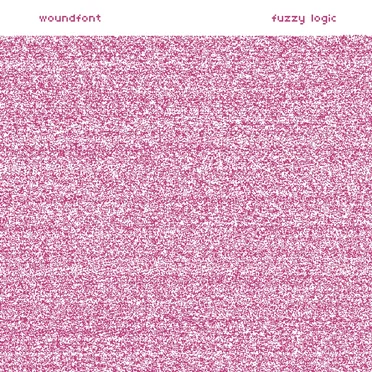 fuzzy logic