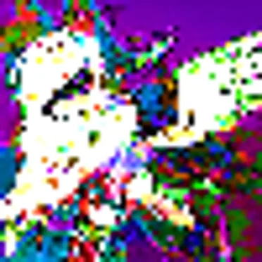 Rim Electronic 255 BPM Endless Love Remix Culture 9-7Semitone_24-17Semitone by fairchild - album cover