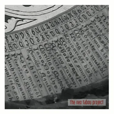 Decyphered Days / Apocalypse in a Room by The Neo Tabou Project - album cover