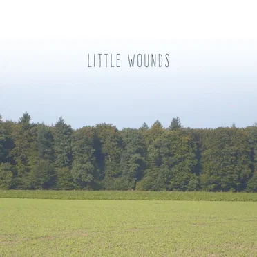 Little Wounds
