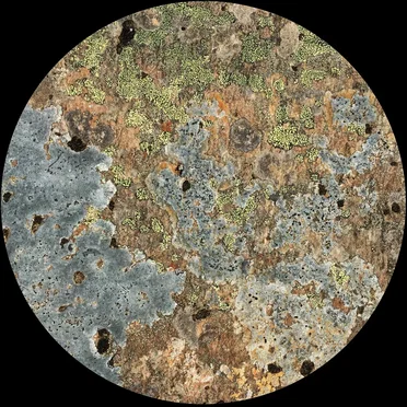 MOA003