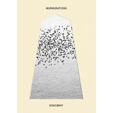 MURMURATIONS by sonicbrat - album cover