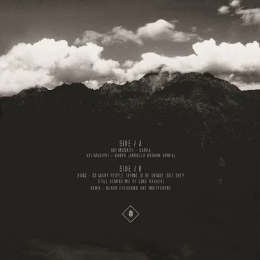 Various Artists [Vol2] by Various Artists - album cover