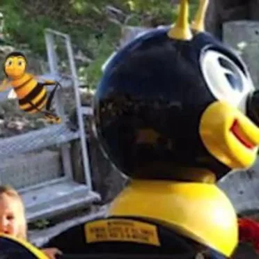 Hip to Fuck Bees (remastered)