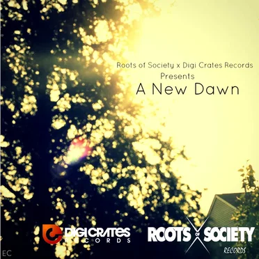 A New Dawn by Various Artists - album cover