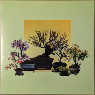 Woven Songs