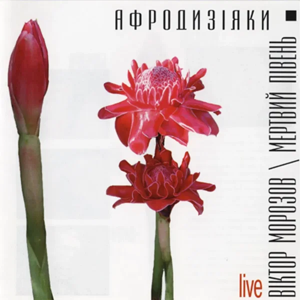 Афродизіяки