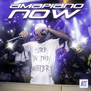 Amapiano Now by Various Artists - album cover