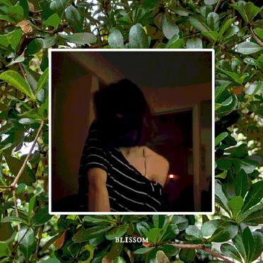 several misconceptions