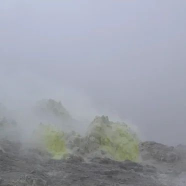 Unconsciousness Silence