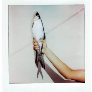 catch//release