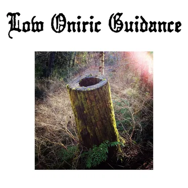 Low Oniric Guidance by Low Oniric Guidance - album cover