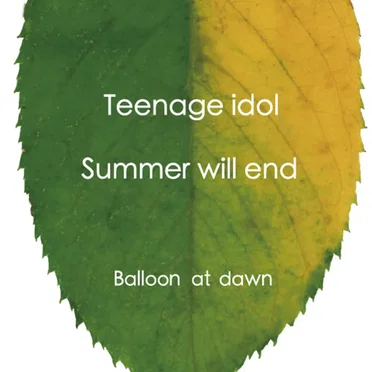 Teenage idol/Summer will end