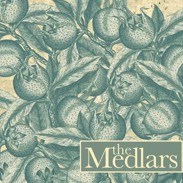 The Medlars