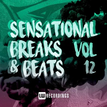 Sensational Breaks & Beats, Vol. 12 by Various Artists - album cover