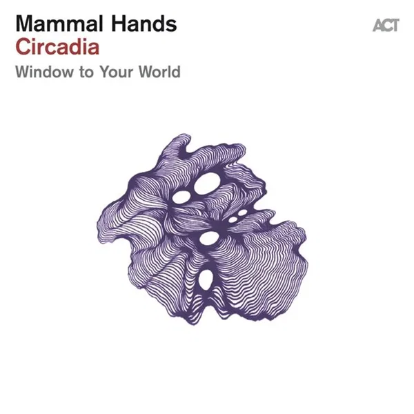 Window to Your World