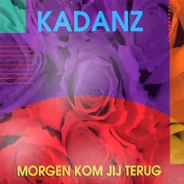 Morgen kom jij terug / Dom, dom, dom