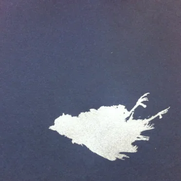 Dragons Look Out Your Window