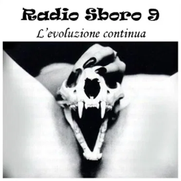 Radiosboro, Volume 9: L'evoluzione continua