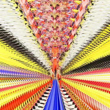 What Is the Reason for It?