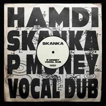 Skanka (P Money vocal dub)