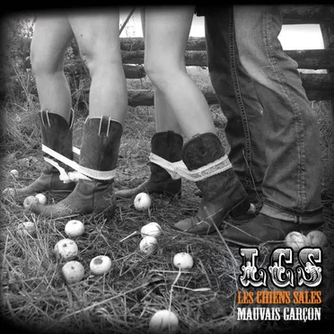 Mauvais garçon by Les chiens sales - album cover