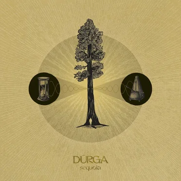 Sequoia