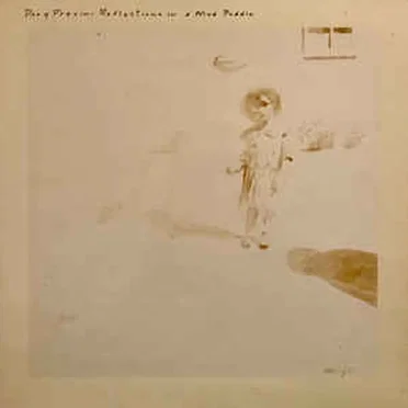 Reflections in a Mud Puddle: Taps Tremors and Time Steps by Dory Previn - album cover