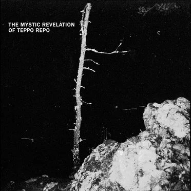 Kosmoksen erakko by The Mystic Revelation of Teppo Repo - album cover