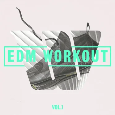 Edm Workout Vol. 1 (Instrumental Version) by Various Artists - album cover