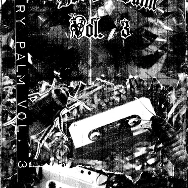 Hairy Palm Vol 3: Plastic Rites by Various Artists - album cover