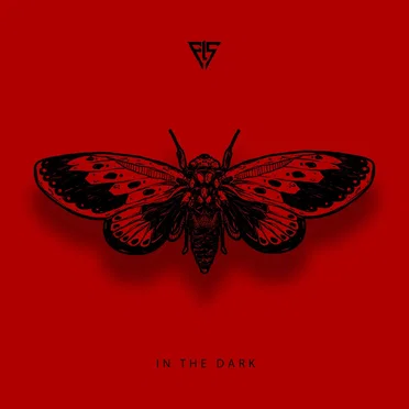 In the Dark (Cicada)