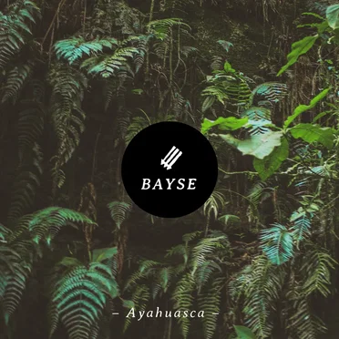 Ayahuasca (Look Behind the Neon Lights)