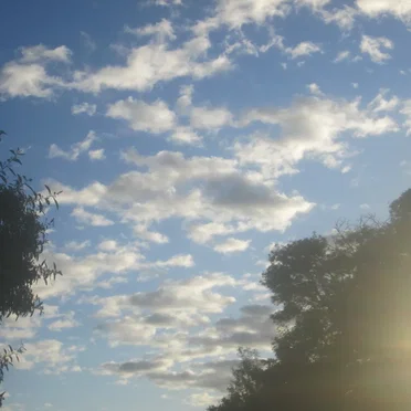 The Sine Wave Vol. 312020