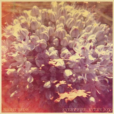 Every Fire; Every Joy by Night Beds - album cover