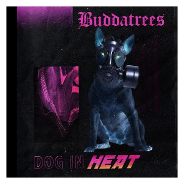 Dog in heat