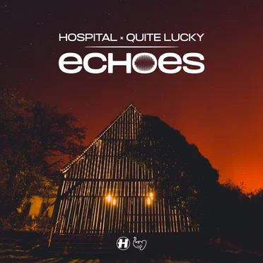 Hospital × Quite Lucky: Echoes by Various Artists - album cover