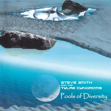 Pools Of Diversity by Steve Smith and The Tylas Cyndrome - album cover