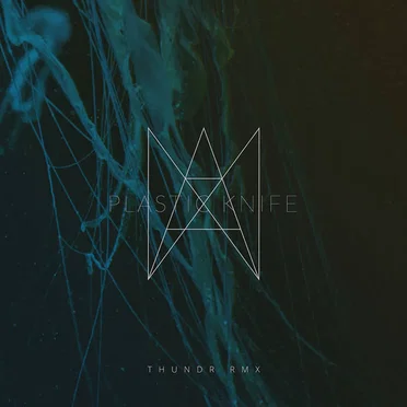 Plastic Knife (Thundr Rmx) by ANA ANA - album cover