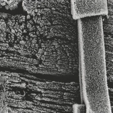 Live at EMUSIC, Nazareth USA April 17th 2003